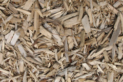 biomass boilers Auchinderran
